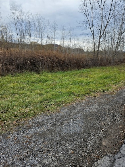 2009 Canandaigua Rd, MacEdon, NY 14502