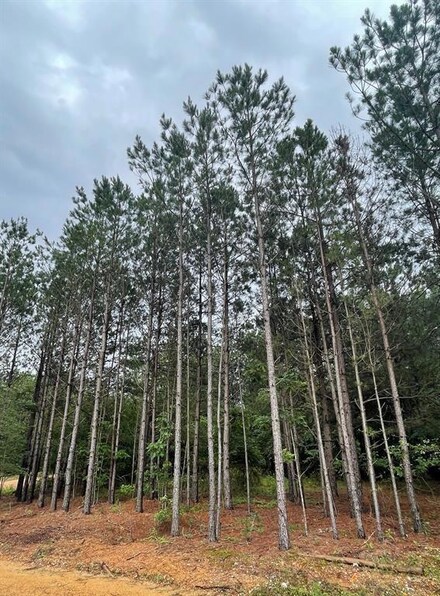 0 Cedar Hills Lakes Unit 1156169, Broken Bow, OK 74728