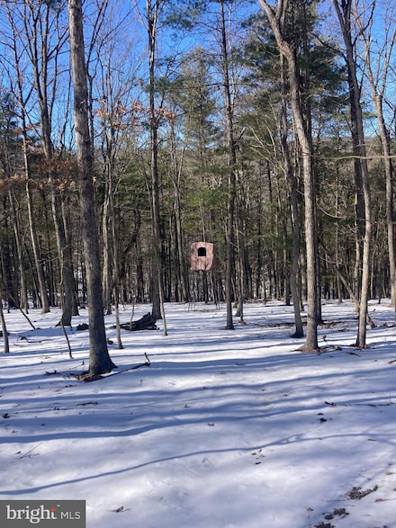 7 AC Cabin Run Rd, Paw Paw, WV 25434