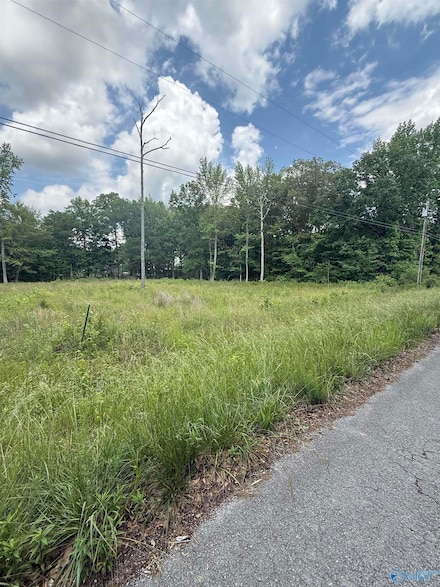28427 Jessica Dr, Toney, AL 35773