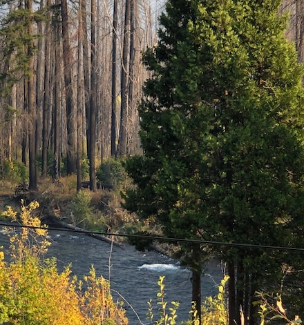 91591 Blue River Reservoir Rd, Blue River, OR 97413