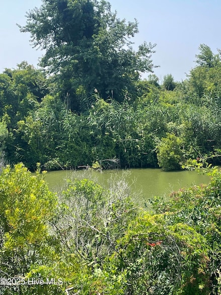 Lot 204a Sandpiper Dr, Hertford, NC 27944