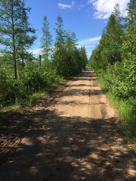 22850 Duck Lake Trail, McMillan Township, MI 49868