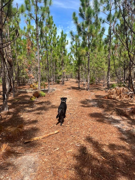 Bff 1b Brunson Teal Rd Unit Bff 1b, Patrick, SC 29584