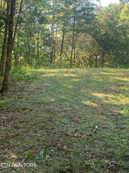 0 Vera Ln, Dandridge, TN 37725