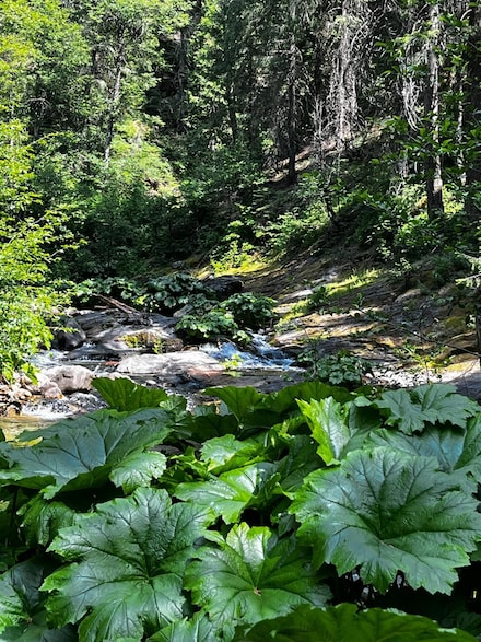 1 Usfs 8bn54 Rd, Somerset, CA 95864