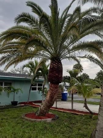 1561 SW 30th St, Fort Lauderdale, FL 33315
