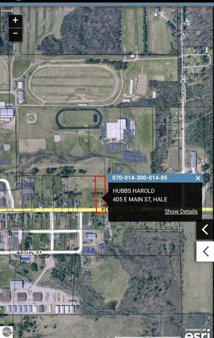 405 E Main St, Hale, MI 48739