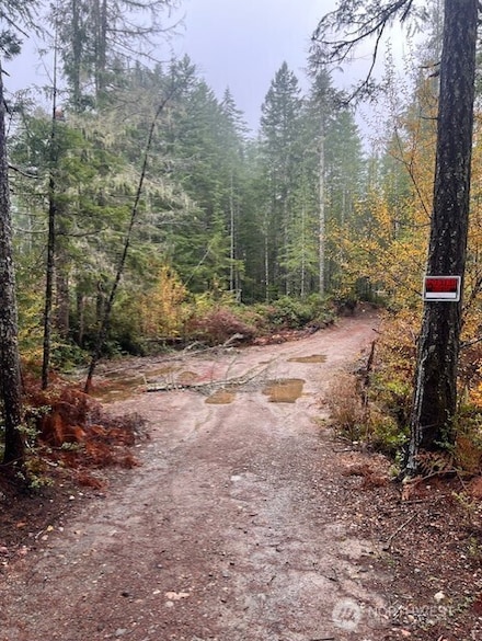 0 Tract 15 NE Dewatto Hills Rd, Belfair, WA 98528