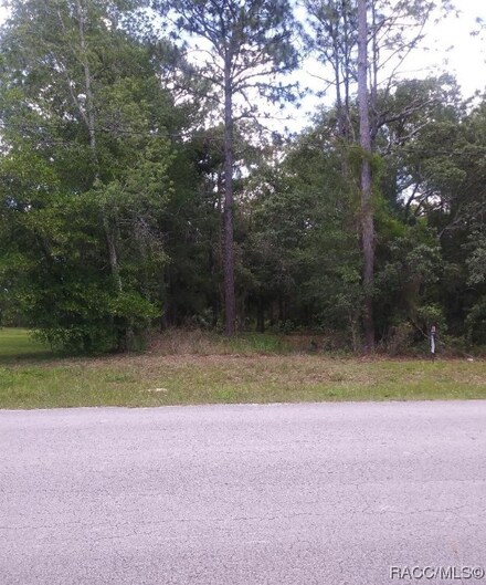1255 N Lombardo Ave, Lecanto, FL 34461