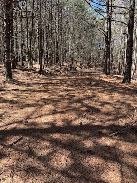 0 Blue Mountain Ln Unit LotWP003, Ellijay, GA 30536
