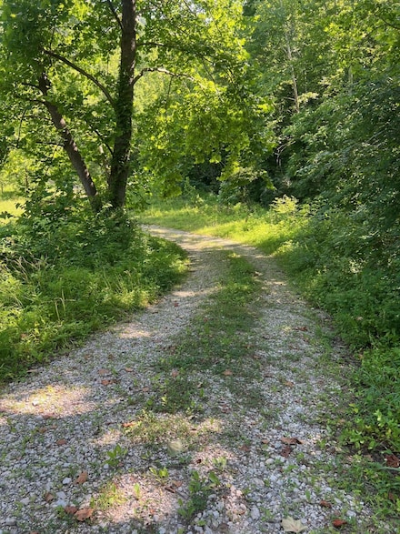 00 SE Licking River Rd, Flat Fork, KY 41465