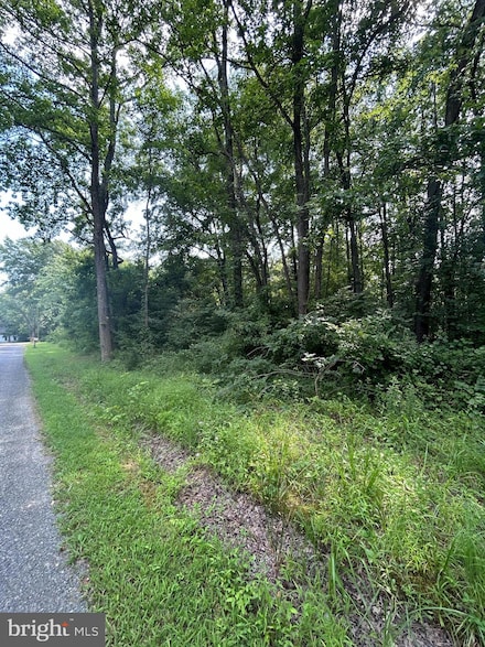 0 Chesterville Forest Rd Unit PARCEL 60, 1, Massey, MD 21651