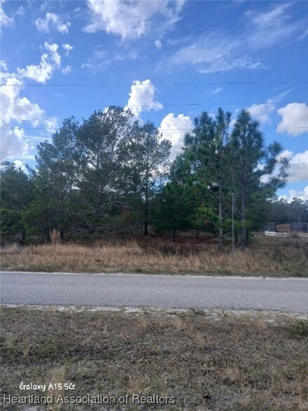 6913 Shasta Daisy Blvd, Sebring, FL 33875