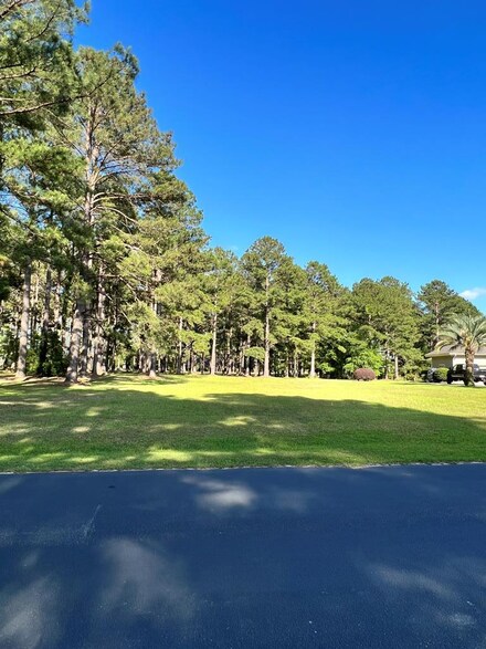 404 Pinelake Ct, Manning, SC 29102