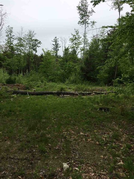 F-2-5 Wilson, Wilton, NH 03086
