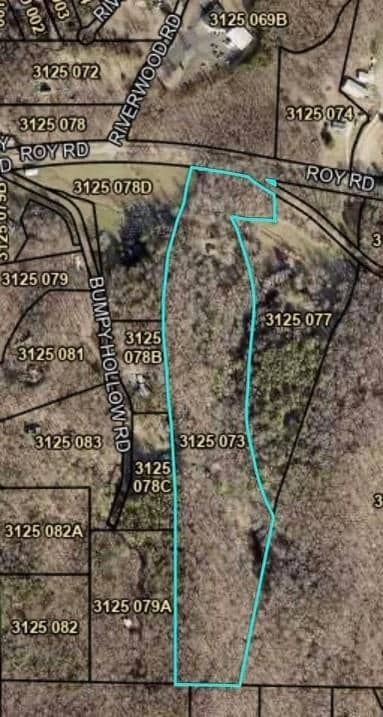 1614 Roy Rd, Ellijay, GA 30536