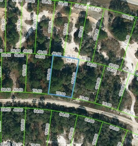 444 Morningside Dr, Lake Placid, FL 33852
