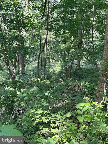 0 Walnut Tree Ct Rd, Front Royal, VA 22630