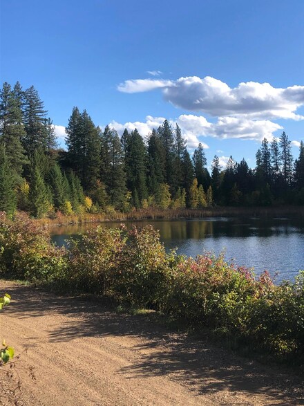 38XX Hill Loop Rd, Kettle Falls, WA 99141