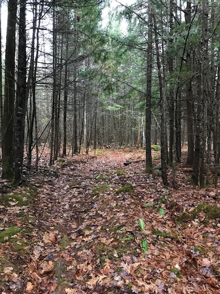 49-51 Pleasant St, Norway, ME 04268