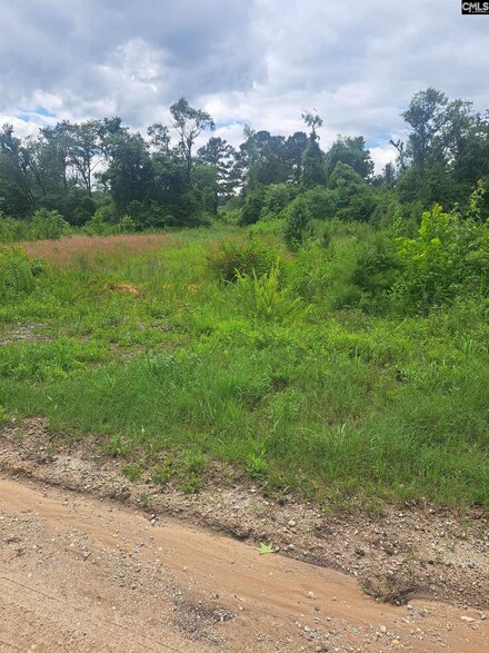 3941 Hillbilly Way Unit Tract 2, McBee, SC 29101