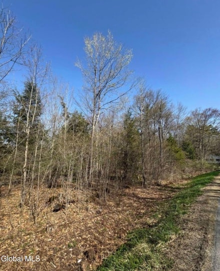 522 N Creek Rd, Greenfld Ctr, NY 12833