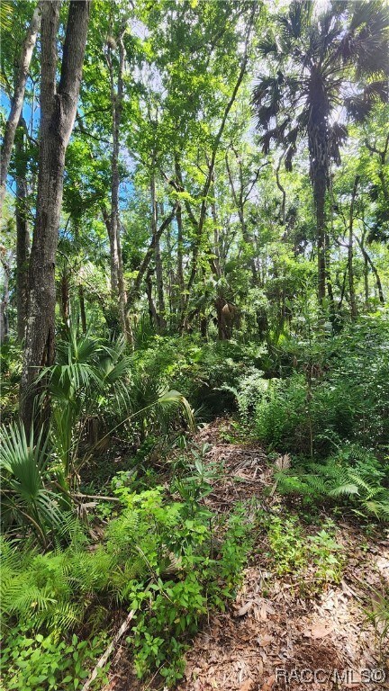 10078 W Virginia St, Homosassa, FL 34448