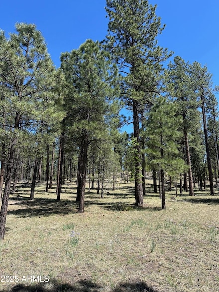 2184 N Highway 180 Crossroads Unit 101-46-020N, Alpine, AZ 85920
