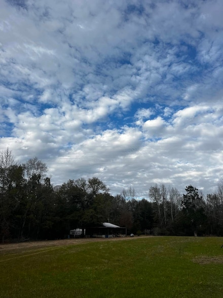 0 Morning Star Rd, Gainestown, AL 36540