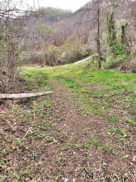 9999 Toby Rd Unit Lot 4, Manchester, KY 40962