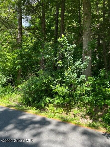 0 New Salem Rd S, Voorheesville, NY 12186