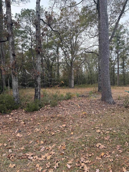 335 Byrnes Cir, Johnsonville, SC 29555