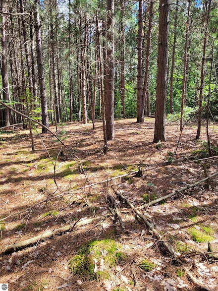 00 N Lakola Rd, Leroy, MI 49655