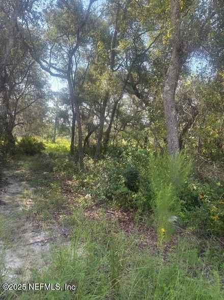 5727 Chippewa Ave, Keystone Heights, FL 32656