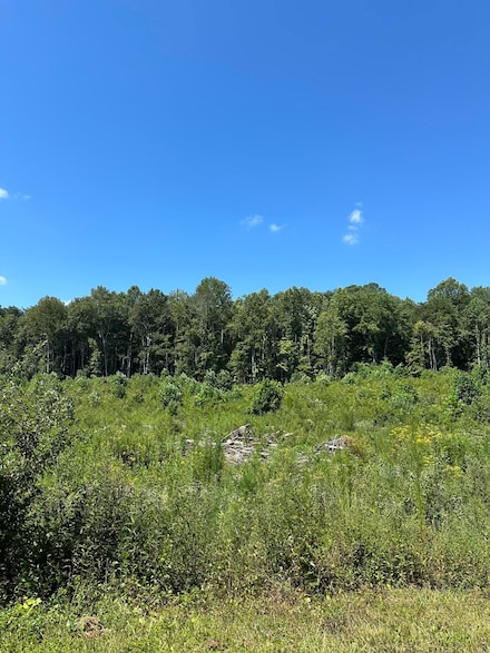 12 Dykes Hollow Rd, Tracy City, TN 37387