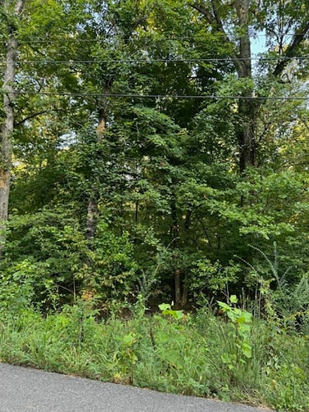 0 Woodland Hills Rd Unit 24029115, Hardy, AR 72542