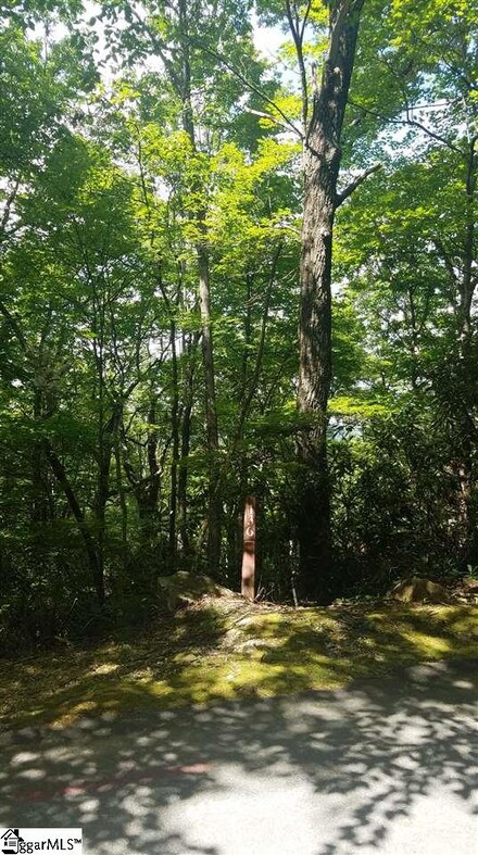 316 Rhododendron, Cleveland, SC 29635