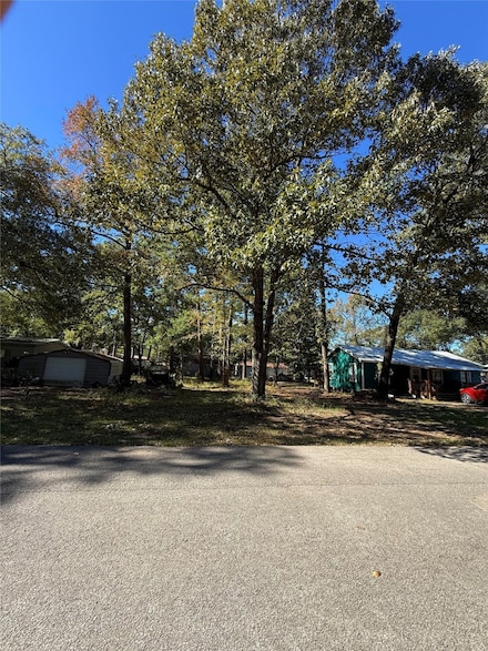 0 Alabama, Onalaska, TX 77360