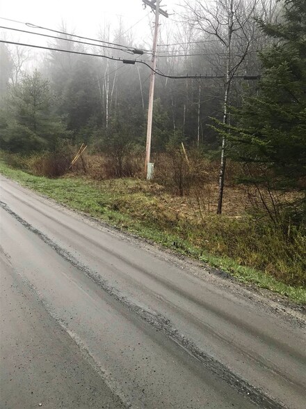 TR 46 Bettis Rd, Braintree, VT 05060
