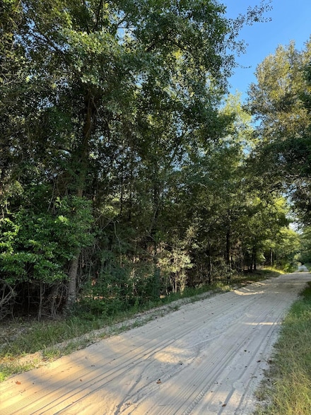 Tbd Olde Castle Rd, Barnwell, SC 29812