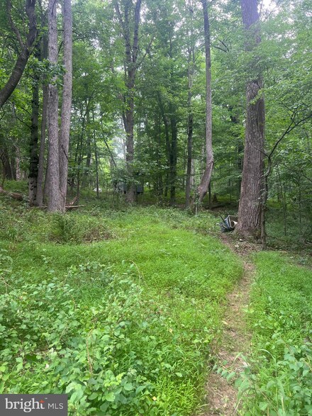 0 Kingstead Rd, Damascus, MD 20872