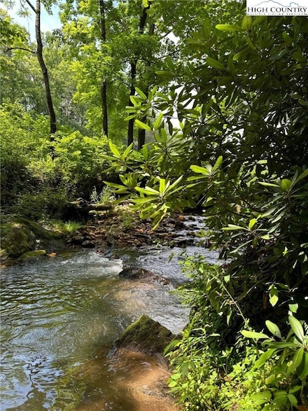 TBD Apple Ridge Rd, Cana, VA 24317