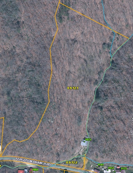 1075 Ferguson Branch Rd, Dunlow, WV 25511