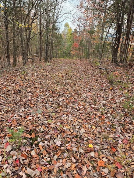 0 Kenneth Linder Ln * Coyote Ln Unit 232977, Livingston, TN 38570