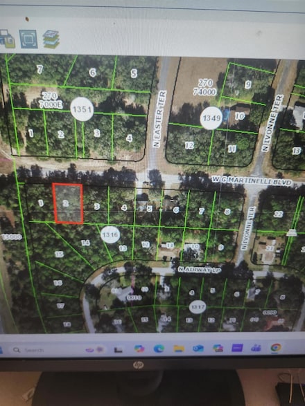 1248 W G Martinelli Blvd, Dunnellon, FL 34434