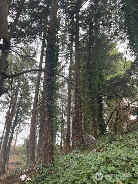 26 Th Place S, Kent, WA 98032