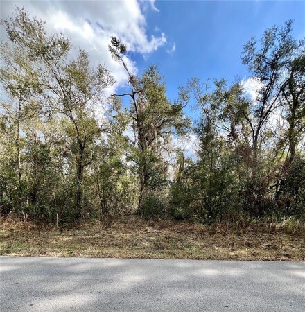 0 Smallman St Unit MFRW7872260, Webster, FL 33597