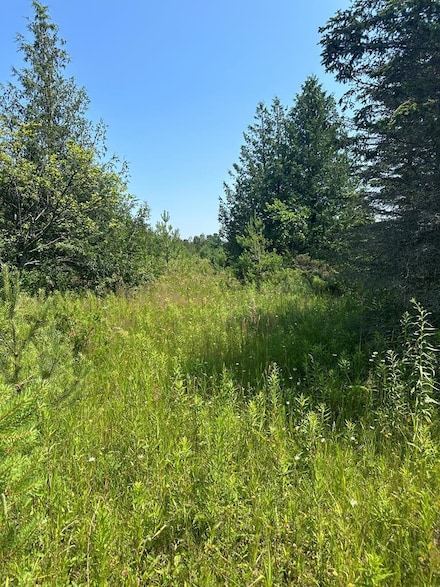 Lot #3 Cedar Ridge Rd, Baileys Harbor, WI 54202