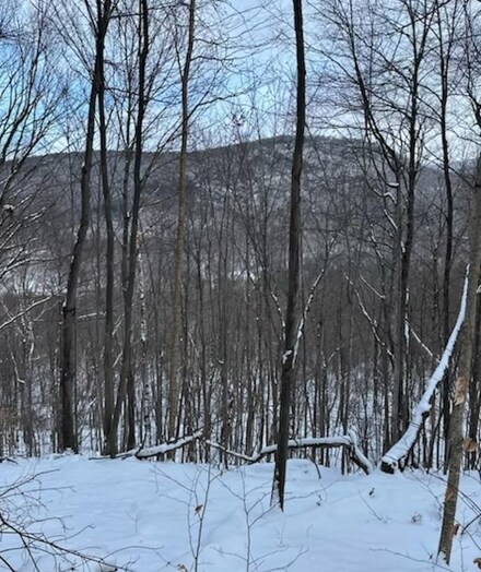 0 Town Highway 02 Unit 5029445, Middletown Springs, VT 05757